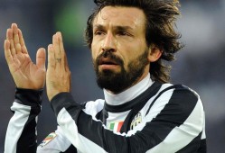 网站构建所采用的技术