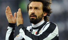 网站构建所采用的技术