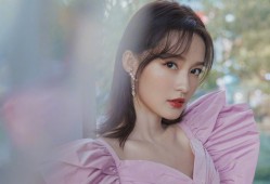 孢子互联网络有限公司：创新科技引领未来网络发展