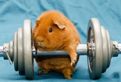 如何撰写建站技术剖析文章