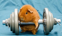 vivo Pad3多设备互联网络卡体验分享