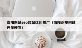 南阳新站seo网站优化推广（南阳正规网站开发便宜）