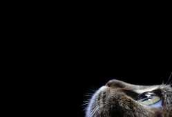 环保行业网络日志审计解决方案