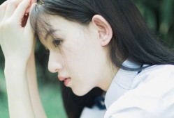 如何高效搭建搜索引擎友好的网站