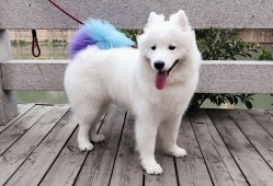 北京网站建站全攻略：从规划到上线的实用指南