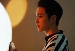 SEO优化与网站域名之间的紧密联系