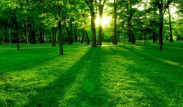 北屯专业SEO优化公司助力网站提升排名与流量