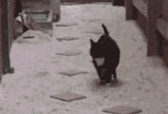 1688建站技术支持服务