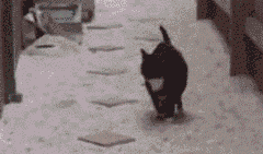 南通SEO优化服务费用解析