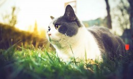 印象互联科技：连接未来的创新力量