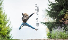 互联网络发展分析图：从起源到未来趋势的全面解读