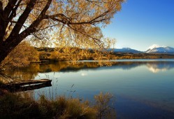 PHP建站技术入门与学习指南