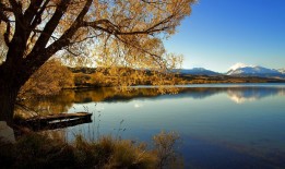 荣耀智慧互联网络共享体验不佳