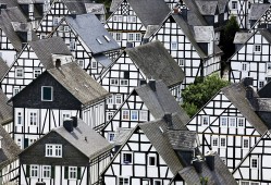 技术支持助力多元建站，打造高效灵活的网站解决方案