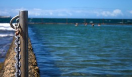 星云互联：打造高效智能的科技网络新生态