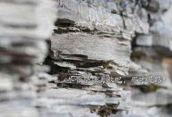 大渡口互联网络有限公司的创新之路