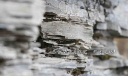 专业SEO网站优化服务公司