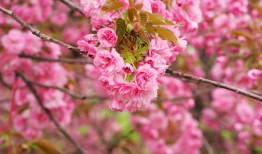 网站SEO优化方案策划书撰写指南