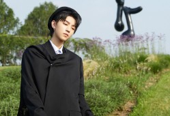 阳江地区建站技术解析与应用