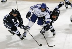留学推荐一站式建站指南