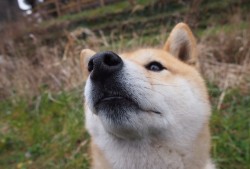 新闻营销中的价格策略与SEO优化实践