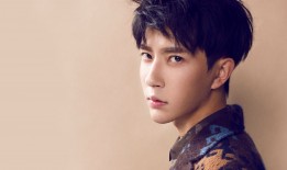 藁城SEO网站优化技巧与实战指南