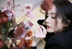 建站技术模板的建立与应用方法