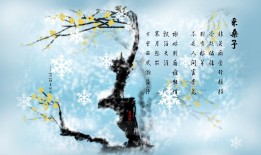 集贤网站建设技术方案优化与实施指南