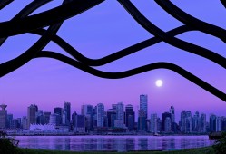 台州专业建站技术优化与解决方案