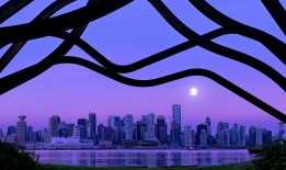 台州专业建站技术优化与解决方案