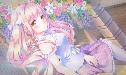 辛集专业SEO网站优化服务电话