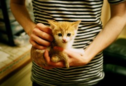 网站策划与建站技术全解析