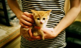 连接互联网，畅享数字世界