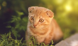 技术支持助力盘古建站蠡县项目顺利推进