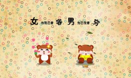 维创互联网络：创新科技连接未来