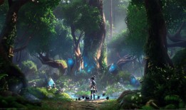 大一学生与互联网的连接与探索