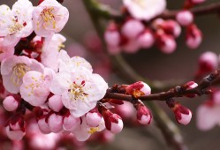 外贸独立站建设全攻略：从零开始搭建您的全球电商门户