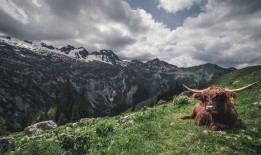 如何自建站：优加技术的实用指南