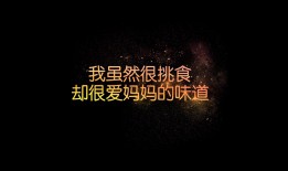 网站建站技术详解与指南