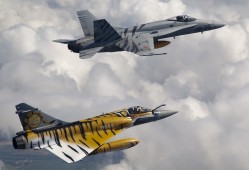 如何全面准备建站所需材料的详细指南