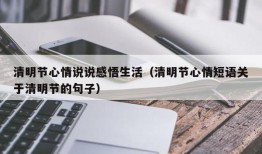 清明节心情说说感悟生活（清明节心情短语关于清明节的句子）