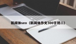 新闻体seo（新闻体作文300字初二）
