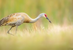 建站技术模板：高效搭建网站的实用指南