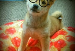 罗定地区网站推广与营销策略解析