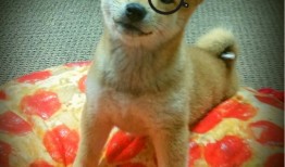 互联网日益普及，融入生活方方面面