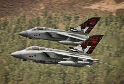 构建高效网站矩阵实现精准营销推广