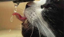 如何避免建站过程中的常见错误