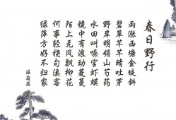 阿飞互联网络在知乎上的评价与使用体验分享