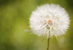 外卖平台的营销推广策略与实践