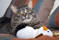 扬中营销型网站推广服务价格一览